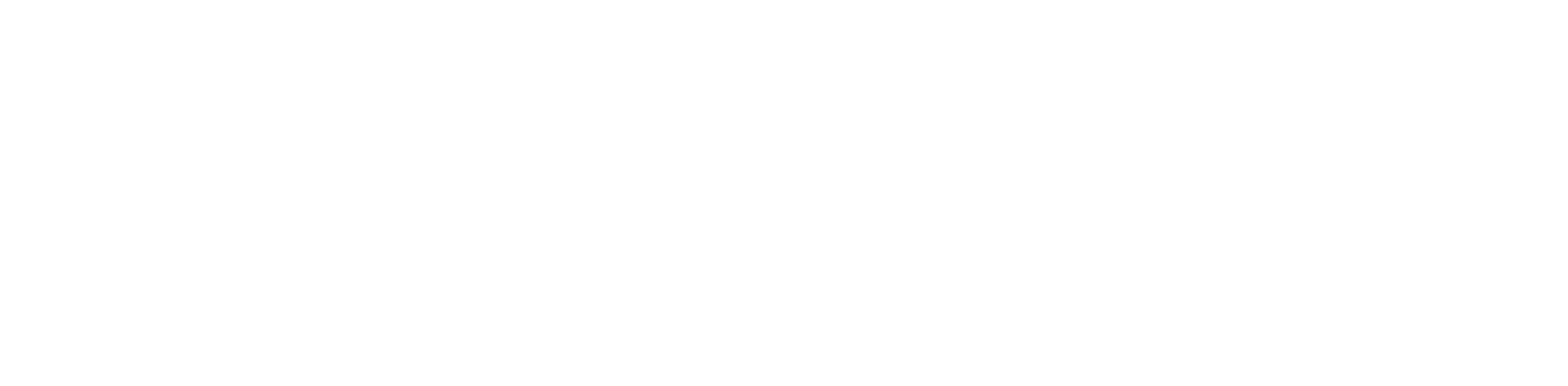 BT Wholesale Partner